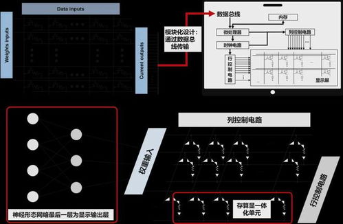 有機(jī)智能材料與器件?？?光電器件的前沿與展望